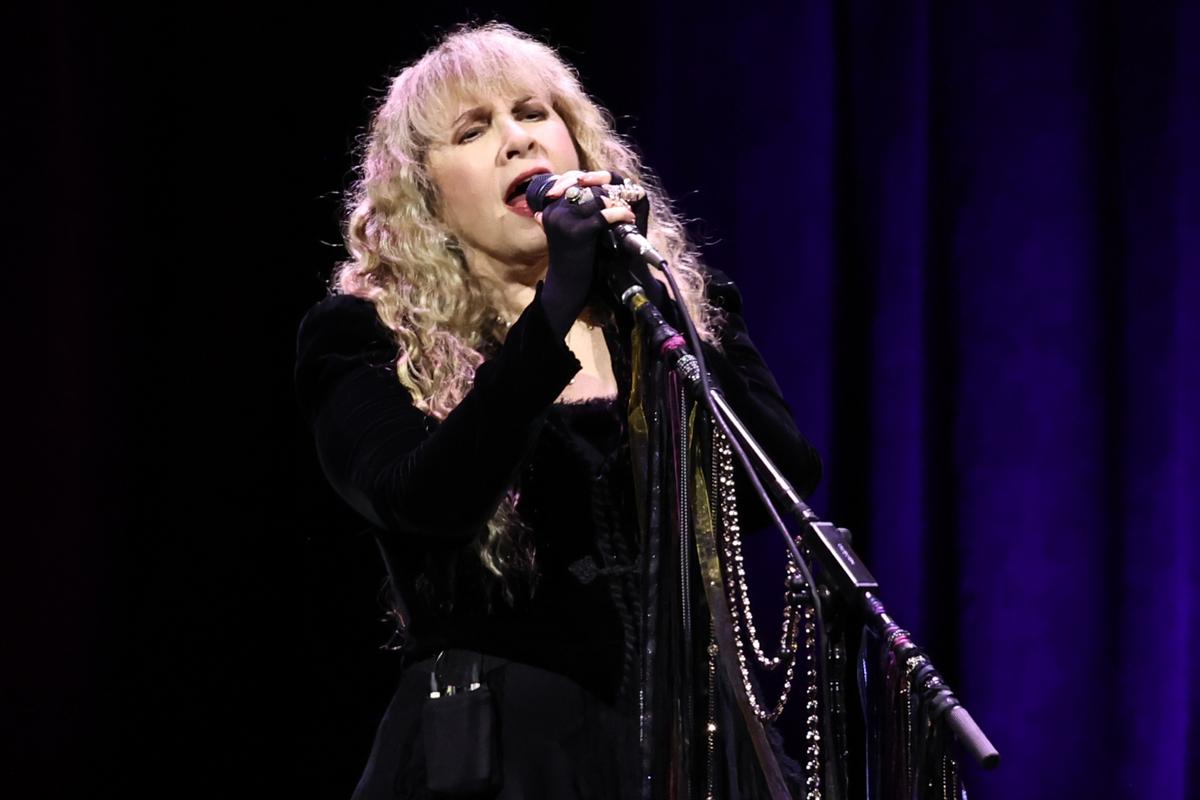 ‘Childless Dog Lady’ Stevie Nicks Echoes Swift’s Call to Vote